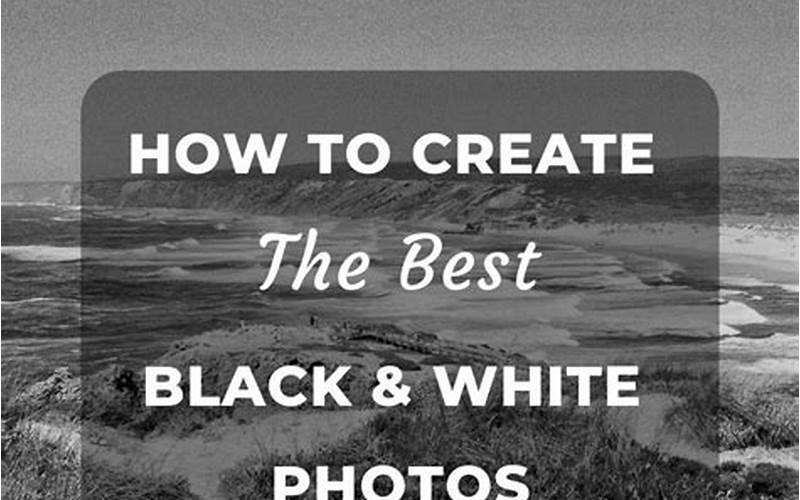 Snapseed Black And White Tutorial