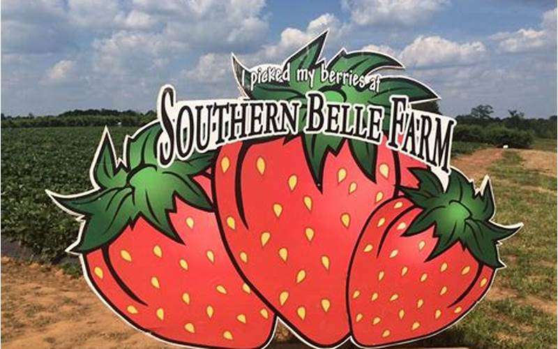 Southern Belle Farm