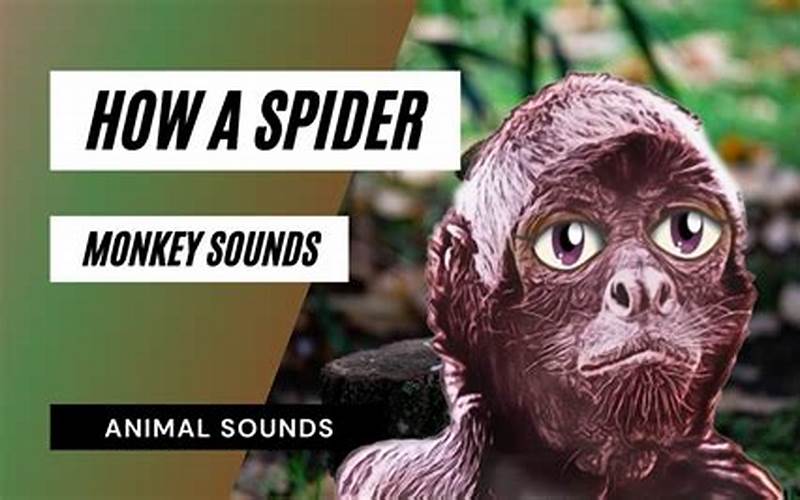Spider Hill Sound Effects