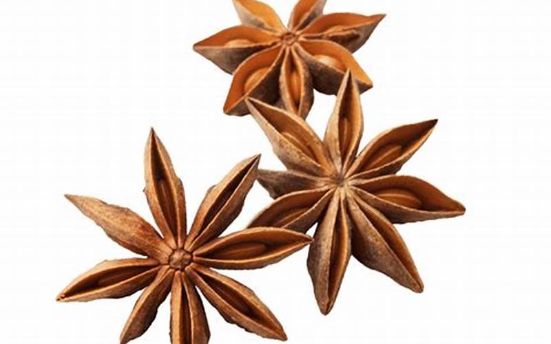 Star Anise Incense