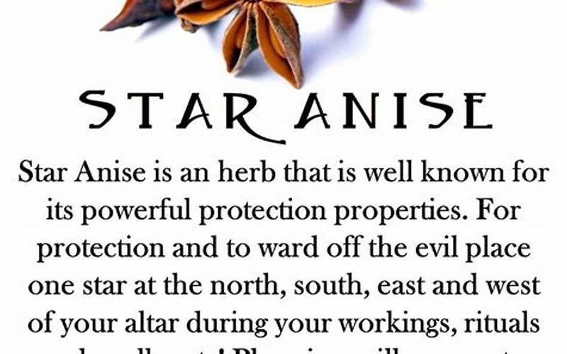 Star Anise Magic