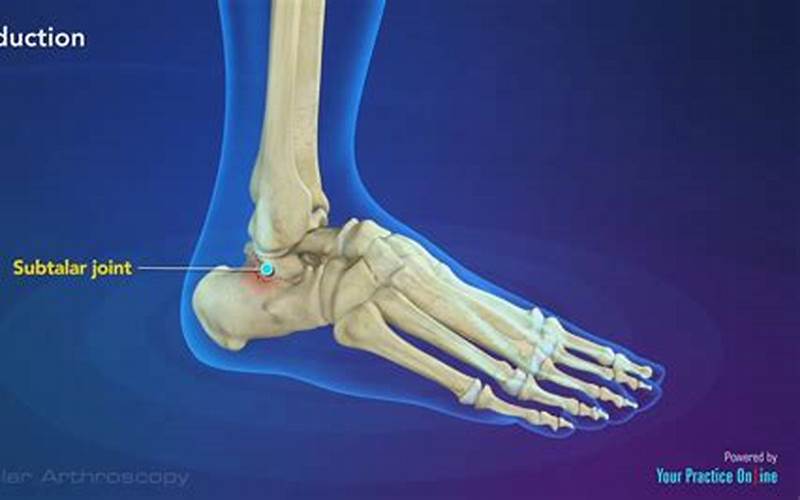 Subtalar Joint