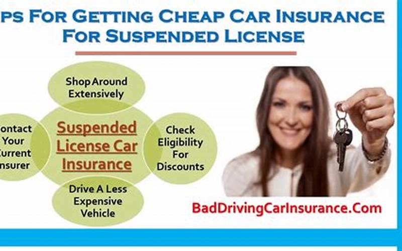Suspension Of Car Insurance