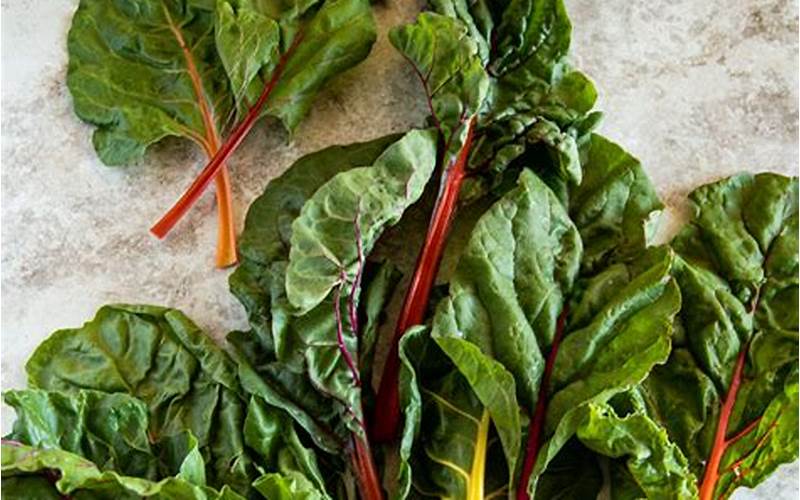 Swiss Chard