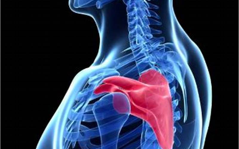 Symptoms Of Anterior Tilt Of Scapula