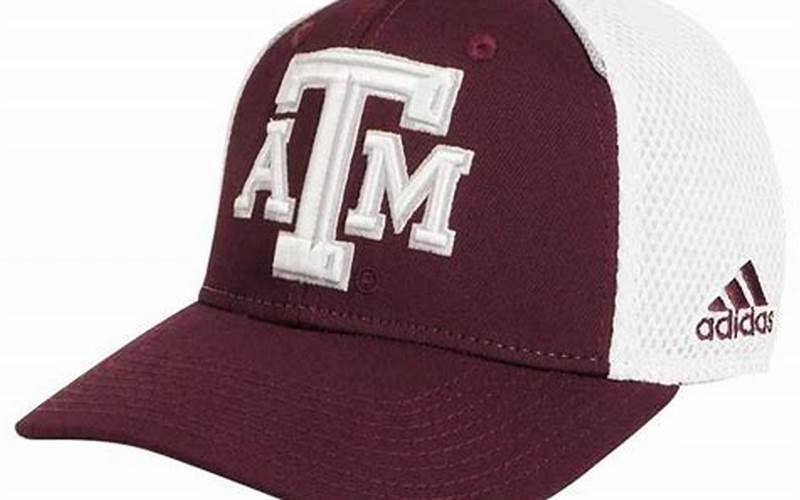 Texas A&Amp;M Baseball And Pringles Merchandise