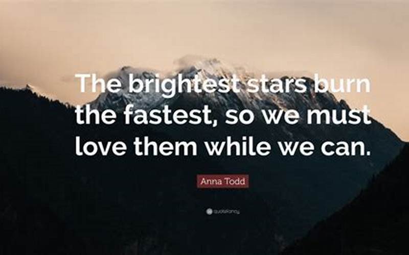 The Brightest Stars Burn Out The Fastest Quote