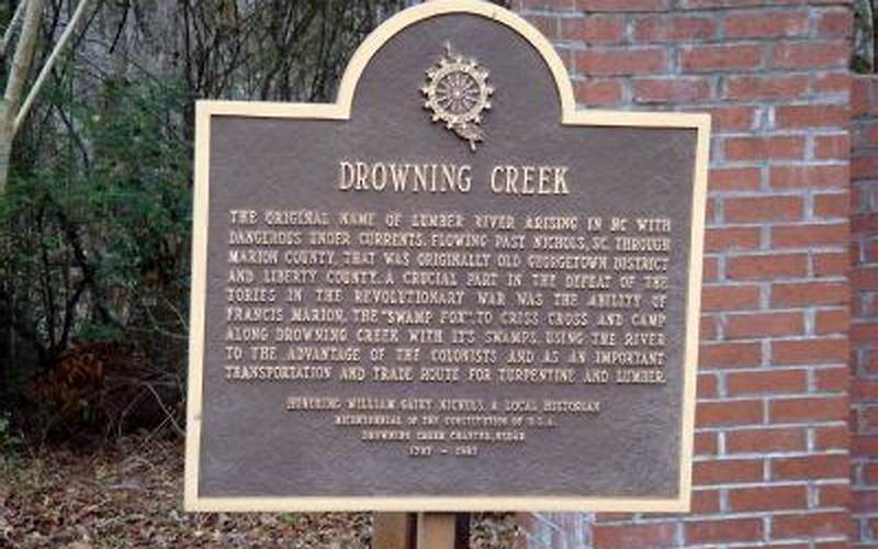 The Future Of Drowning Creek