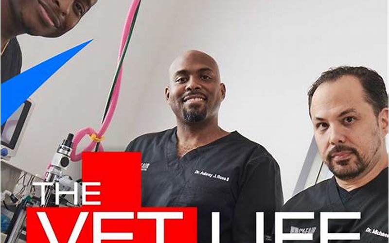 The Vet Life Cast