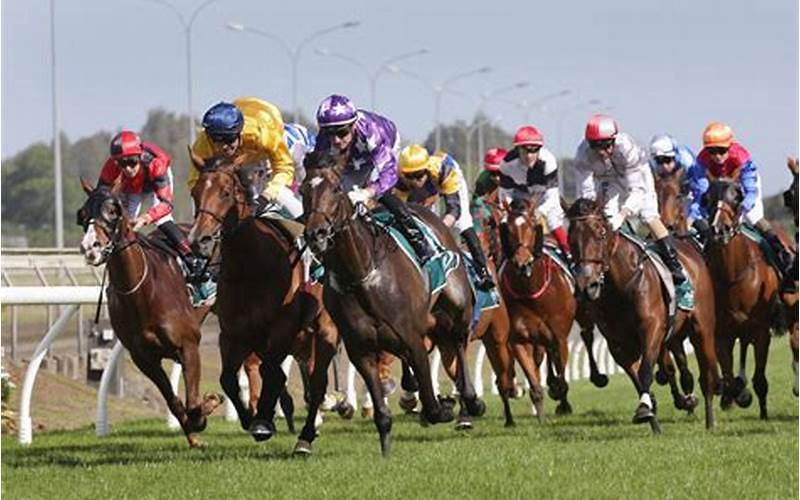 Thoroughbred Horse Racing At The Finish Line