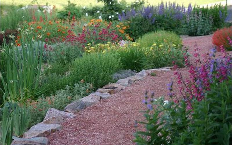 Tips For Gardening In Colorado