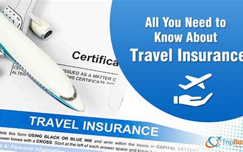 Travel Insurance For Usa From India Cost