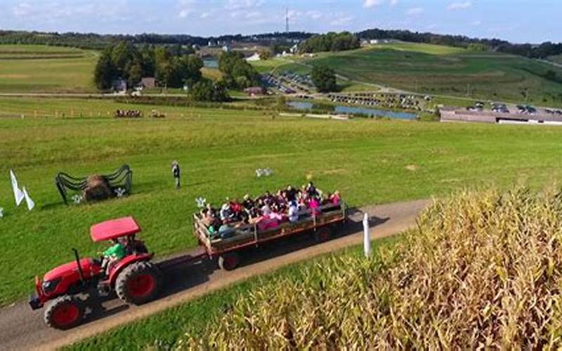 Trax Farms Fall Festival: A Celebration of Autumn