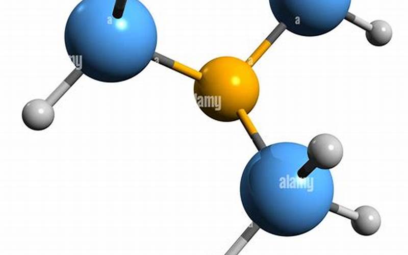 Trimethylamine