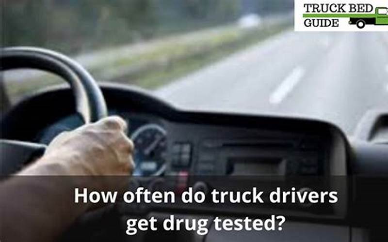 Marten Transport Drug Test: Everything You Need to Know