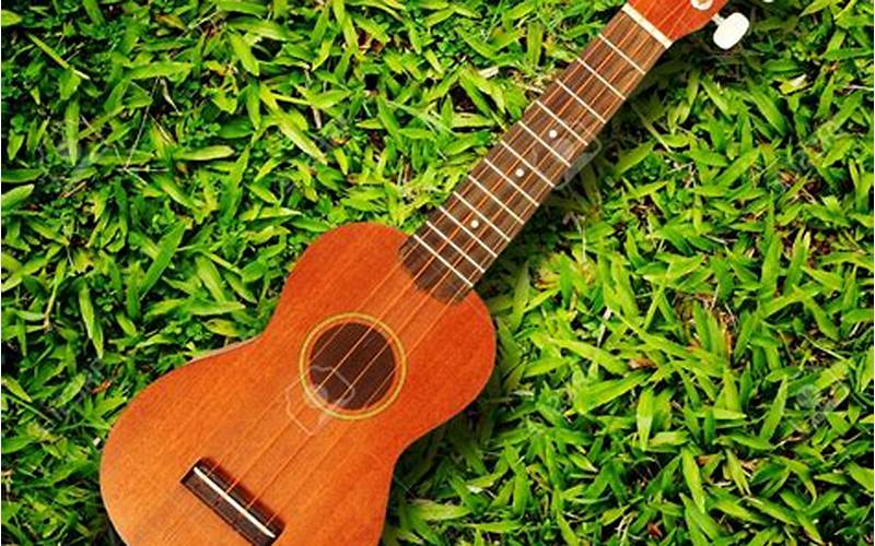 The Moon Song Ukulele: A Beginner’s Guide to Playing the Ukulele