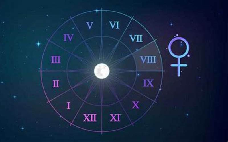 Venus in 8th House Synastry: The Intensity of Love