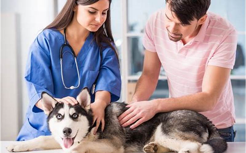 Veterinary Treatment