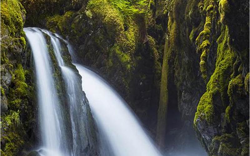 Discover the Beauty of Virgin Creek Falls in Girdwood, Alaska