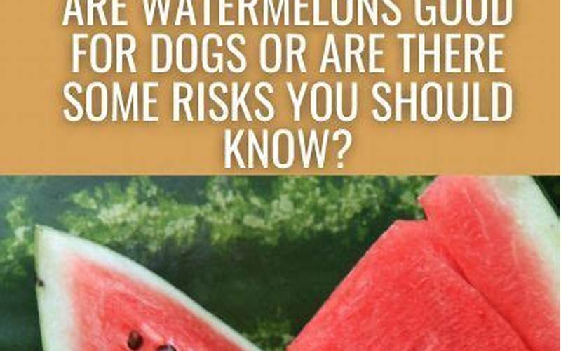 Watermelon Risks