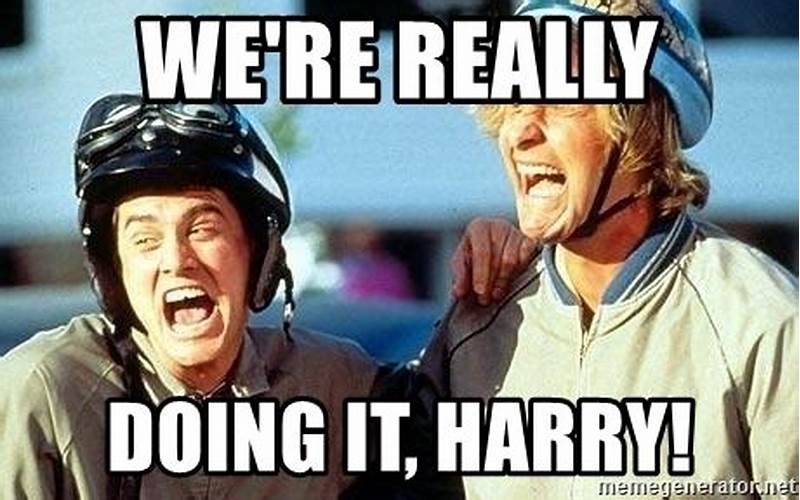 We’re Really Doing It Harry Gif: The History and Significance Behind the Viral Meme