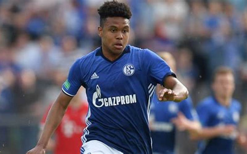 Weston Mckennie Youth Academy