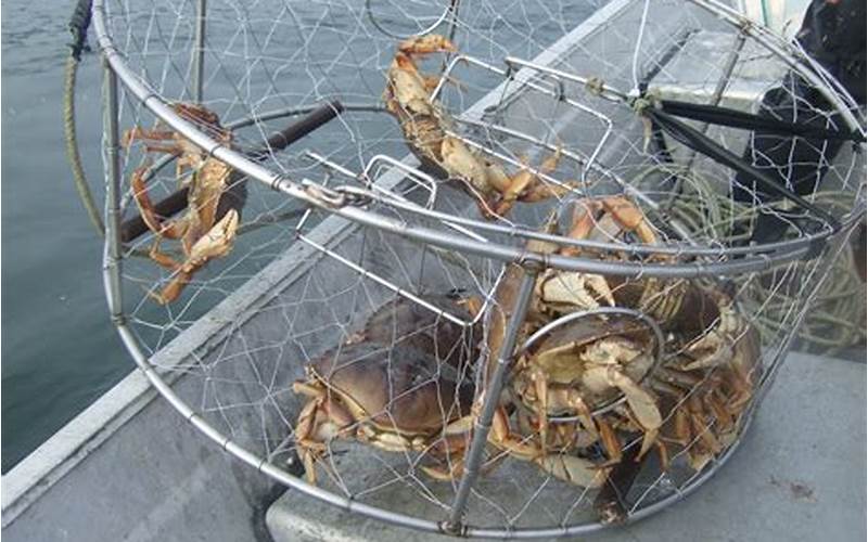 What Is Crabbing