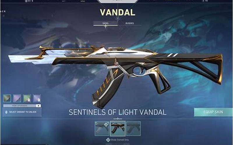 What Makes Sentinels Of Light Vandal Skins Special
