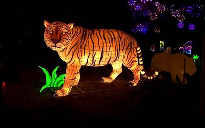 When And Where To See The Beardsley Zoo Lantern Festival