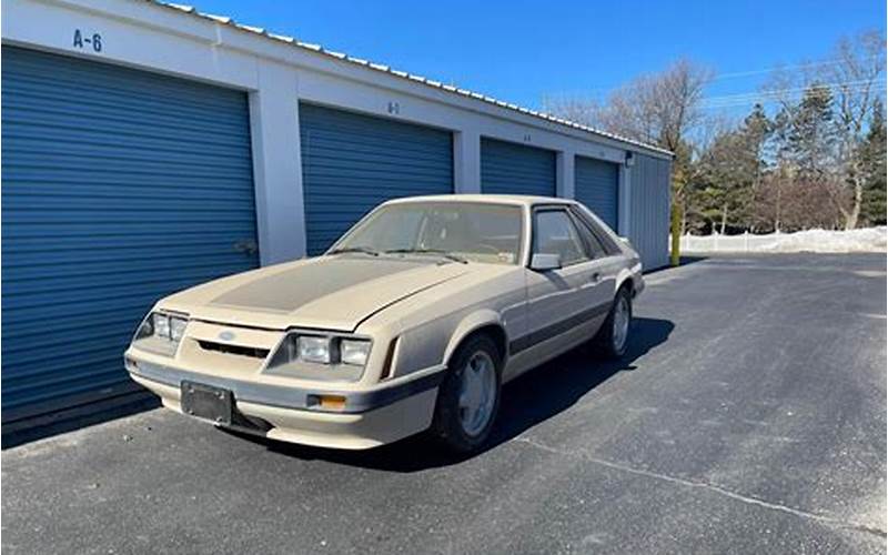 Where To Find A Fox Body