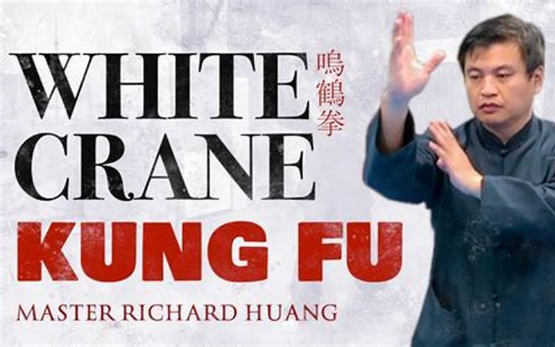 Understanding the Basics of White Crane Kung Fu: An Ultimate Guide