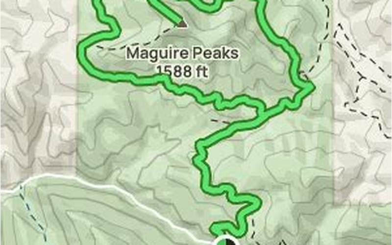 Wildlife On Maguire Peak Trail