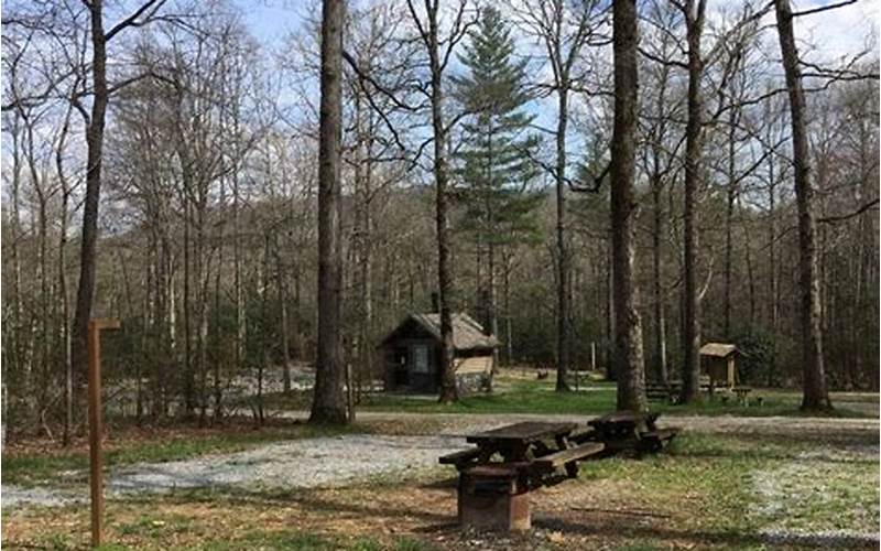Discover the Beauty and Adventure at Wolf Ford Horse Camp