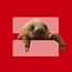 17 Different Versions Of The Marriage Equality Symbol For Your Facebook ...