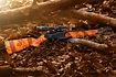 Test: Winchester SXR Vulcan Camo Blaze Fluted – An affordable semi ...