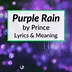"Purple Rain" Lyrics & Meaning (Prince And The Revolution)