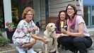 Spendenaktion: Eis essen in der Seniorenresidenz – Erlös ans Tier | SHZ