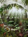 Watch The Green Planet Online | Season 1 (2022) | TV Guide