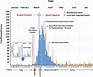 Epidemic curve across five stages during the COVID-19 outbreak in ...