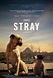 Stray (2020) - IMDb