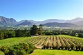 South Africa’s Cape Winelands Will Take Your Breath Away - Ashley Renne