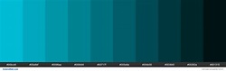 cyan colors palette #00bcd4, #00a9bf, #0096aa - ColorsWall