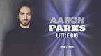Concerto Aaron Parks - Little Big - 10 Novembre 2022 - Milano