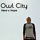 erika van pelt: New Single : Owl City - Here's Hope
