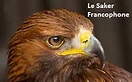 Le Saker Francophone fait peau neuve | Le Saker Francophone
