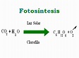 La Fotosíntesis y sus ramas: Formula de la Fotosintesis