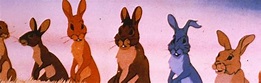 La collina dei conigli (1978) | FilmTV.it