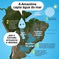 A importância da Amazônia para a água – arvoreagua
