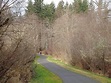 Soos Creek Trail - Kent, Washington - Top Brunch Spots