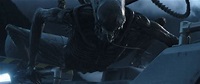 VFX Supervisor Charley Henley Unleashes a New Wave of Xenomorphs in ...